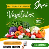 Jepri